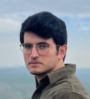 Ali Parvin