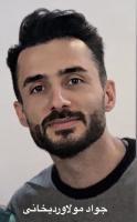 Javad Molavardikhani Javad Molavardikhani