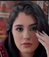 Bahar Shahmehri