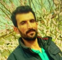 Seyyed Hadi Zarghani