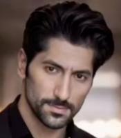 Mostafa Lotfi