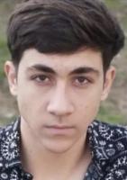 Amir Ali Lotfi