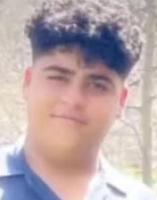 Amirhossein Ghardashi