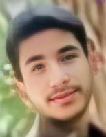 Mohammad Gamshadzehi