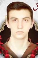 Amir Abbas Baghestani Amir Abbas Baghestani