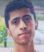 Amirreza Anajavi