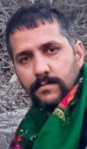 Mehdi Tavakoli