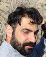 Sajad Dana