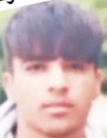 Hamid Parisai