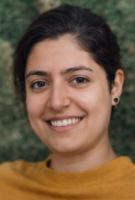 Roya Rastegar | Esfahan | Kidnapped | Witness Report Incorporated
