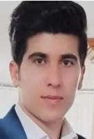 Ali Shirmohammadi