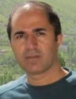 Mohammadreza Moradi