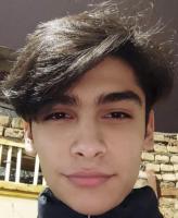 Mohammad Pouya Karim Abadi