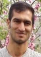 Mostafa Alikhani Chamgardani