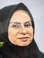 Hamideh Salarzadeh