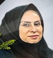Hamideh Salarzadeh