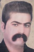 Mohammadreza Salehi
