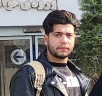 Seyed Alireza Mousavi Seyed Alireza Mousavi