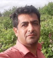 Ali Mollayi