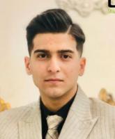 Amirhossein Safari Goldaste