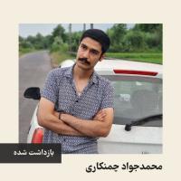 Mohamad Javad Chaman Kari
