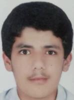 Kamran Etemad Zadeh Shah Bakhsh