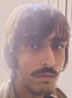 Morteza Damani
