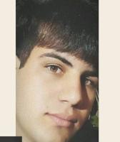 MohammadReza Jalili