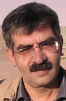Mohsen Dogmehchi
