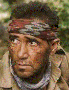 Salar Azari
