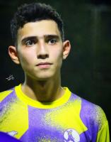 Mohammad Hossein Gholami