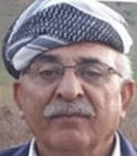Salman Salek