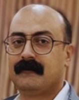 Himan Gholi Zadeh