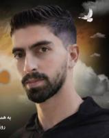 Mehdi Safari