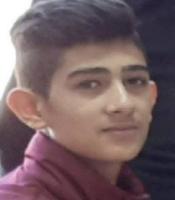 Mehrdad Malek