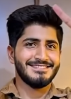 Seyed Alireza Taheri Bajgirani