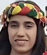 Evin Ahmadi