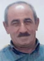 Shahin Galeh Dari