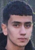 Mohammad Parsa Amini