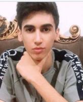 Behnam Feyzipour