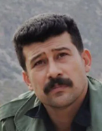 Mohsen Shojaei