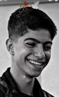 Sepehr Soltani Sepehr Soltani