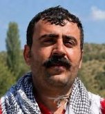 Vorya Moayyed