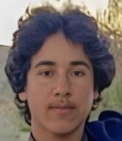 Yousef Rasaneh