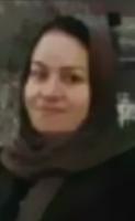 Zeinab Hamrang Seyed Beglo