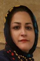 Noushin Baradaran Kermani Noushin Baradaran Kermani